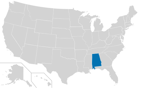2017 United States elections